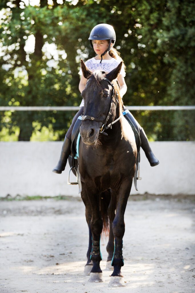 equitacion en Moraleja